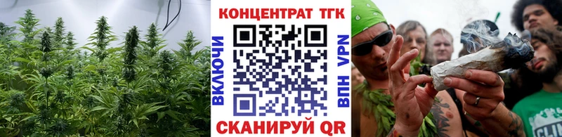 продажа наркотиков  Бирск  mega маркетплейс  ТГК THC oil 