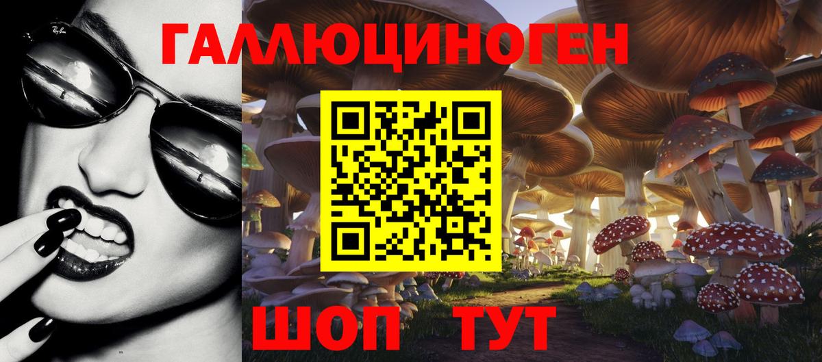 Псилоцибиновые грибы мухоморы Бирск