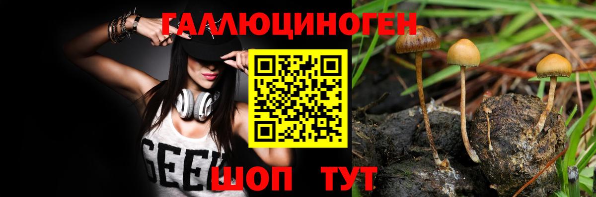 купить   Галлюциногенные грибы MAGIC MUSHROOMS  Вход с VPN  Галлюциногенные грибы ЛСД  Бирск 