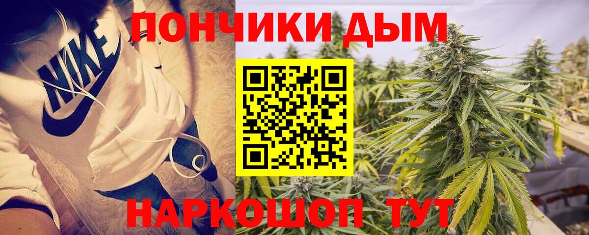 Марихуана сатива Бирск